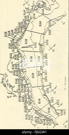 Distribuzione e abbondanza delle tendenze di 22 specie selezionate in mezzo all'Atlantico ansa da reti a strascico sondaggi durante 1967-1979 - Relazione finale per gli Stati Uniti Minerale(s) Management Service (1985) Foto Stock