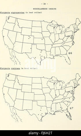 Le mappe di distribuzione di alcuni insetti nocivi negli Stati Uniti (1959) Foto Stock