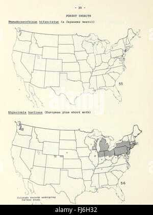 Le mappe di distribuzione di alcuni insetti nocivi negli Stati Uniti (1959) Foto Stock