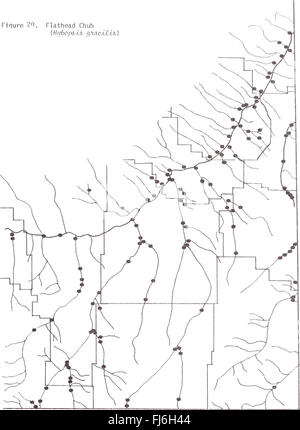 Distribuzione di pesci nel sud-est della Montana (1980) Foto Stock
