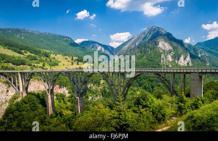 Djurdjevic ponte sopra il fiume Tara canyon Foto Stock