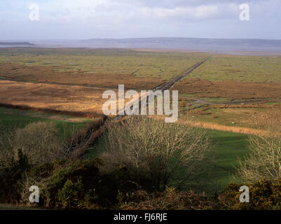 Landimore Marsh saltmarsh Appartamenti North Gower Peninsula Burry Loughor ingresso vista estuario nord verso Carmarthenshire Swansea Cou Foto Stock