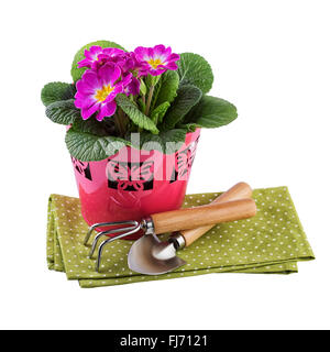 Vaso di fiori con attrezzi da giardino Foto Stock
