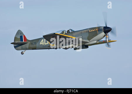 Spitfire Mk.LF.XVIe, TE311 della RAF BBMF a RAF Coningsby. Foto Stock