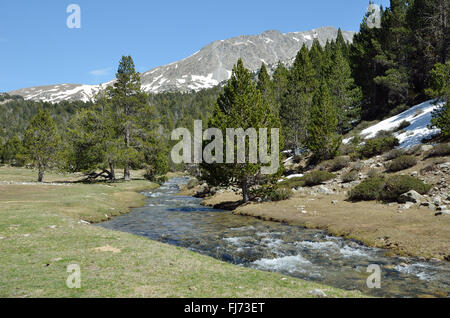 La primavera in Madriu-Perafita-Claror Valley Foto Stock