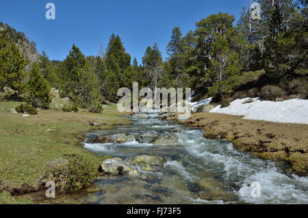 Highland valley con un torrente di origine glaciale Foto Stock