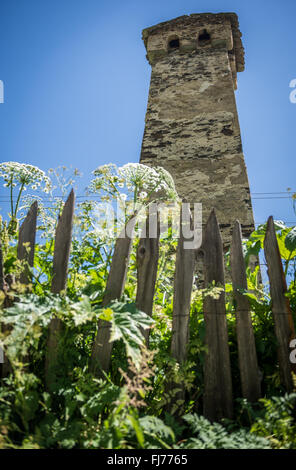 Torre Svan in Zhibiani - uno dei quattro villaggi di Ushguli comunità al fine di Inguri gorge, Svaneti superiore, Georgia Foto Stock