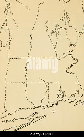 Syllabus argomenti di storia americana per il settimo e ottavo gradi (1919) Foto Stock