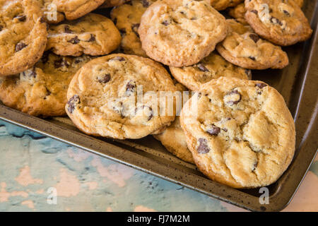 In casa i biscotti al cioccolato sul vassoio da forno Foto Stock