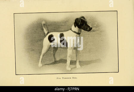Una guida completa sulla salute del cane, comprese le informazioni su incidenti, malattie e assistenza generale, ospitata negli archivi della Biblioteca del Congresso. Questo lavoro è essenziale per comprendere l'assistenza sanitaria canina. Foto Stock