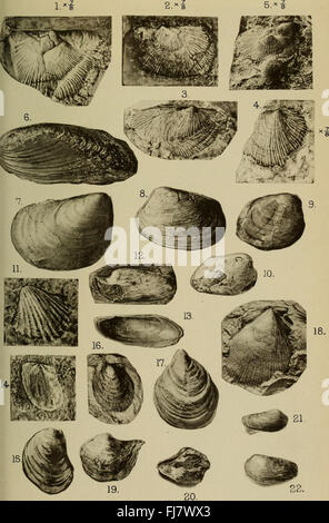 La rivista trimestrale della Geological Society di Londra (1917) Foto Stock