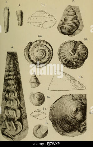 La rivista trimestrale della Geological Society di Londra (1917) Foto Stock