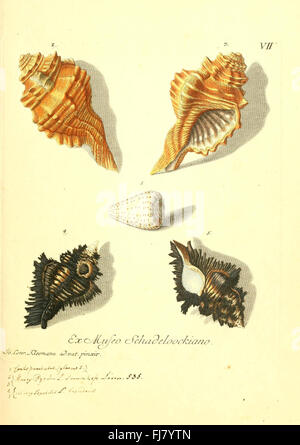 VergnC3BCgen der Augen und des GemC3BCths (Tab. VII) Foto Stock