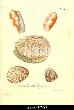 VergnC3BCgen der Augen und des GemC3BCths (Tab. XX) Foto Stock