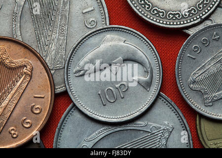 Monete di Irlanda. Salmone raffigurata nella Irish 10 pence moneta. Foto Stock