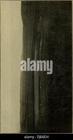 Un numero del 1923 del *Bulletin of the Geological Society of America*, che pubblica ricerche e scoperte nel campo della geologia. Foto Stock