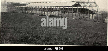 Catalogo delle informazioni utili e tabelle rispetto al ferro da stiro, foglio e altri prodotti fabbricati da Milliken fratelli, predisposto per l'uso di ingegneri, architetti e costruttori (1901) Foto Stock