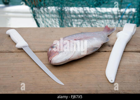 Snapper e il coltello. Essendo il pesce in filetti Foto Stock