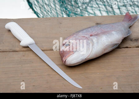 Snapper e il coltello. Essendo il pesce in filetti Foto Stock