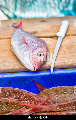 Snapper e il coltello. Essendo il pesce in filetti Foto Stock