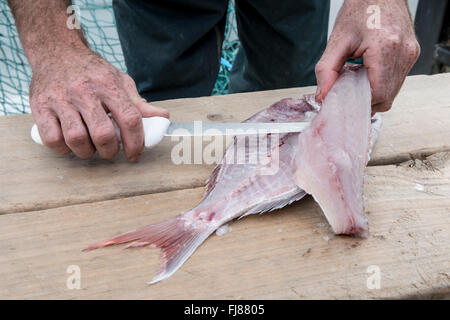 Snapper e il coltello. Essendo il pesce in filetti Foto Stock