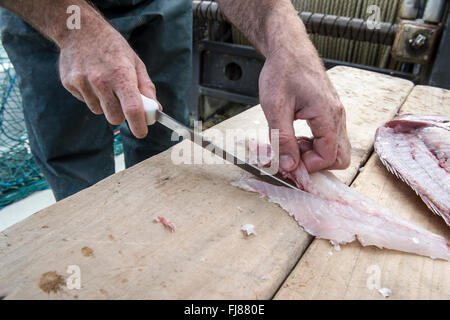 Snapper e il coltello. Essendo il pesce in filetti Foto Stock