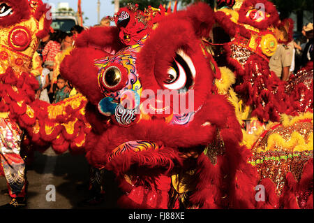 Phnom Penh celebra "Anno della Scimmia' w/ Leone tradizionali balli durante il Capodanno cinese. © Kraig Lieb Foto Stock