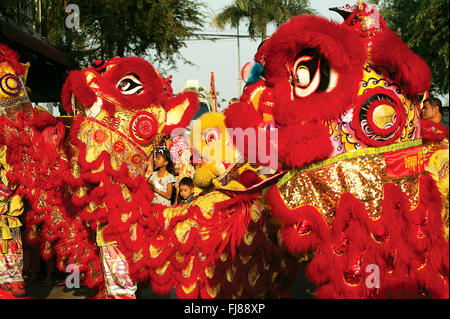 Phnom Penh celebra "Anno della Scimmia' w/ Leone tradizionali balli durante il Capodanno cinese. © Kraig Lieb Foto Stock