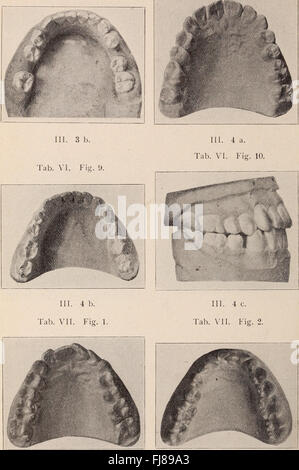 Rassegna dentaria; dedicata alla promozione di odontoiatria. (1901) Foto Stock