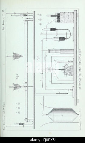Annales des Sciences Naturelles Botaniques, una rivista scientifica del 1884 incentrata sullo studio della botanica e delle scienze delle piante. Foto Stock