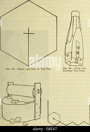 Il rapporto annuale 1914 del Board of Control della New York Agricultural Experiment Station descrive i progressi agricoli, i risultati della ricerca e le iniziative chiave intraprese all'inizio del XX secolo. Sottolinea l'innovazione agricola e gli sforzi politici del SER. Foto Stock