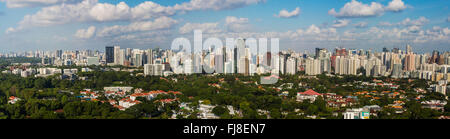 Una vista aerea panoramica della citta' di Singapore e della natura che si collegano tra loro. Foto Stock