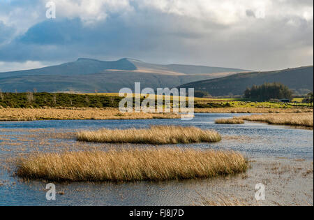 Pen y la ventola e il mais Du da Mynydd comune Illtyd Brecon Beacons Galles del sud su una luminosa giornata invernale Foto Stock