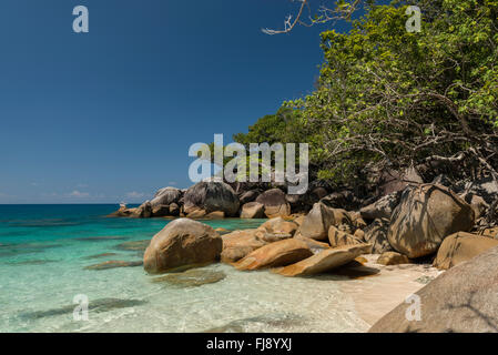 Bella bianca Nudey Beach con i turisti, snorkeling, vela passando, alcuni incredibili formazioni rocciose e le acque turchesi di Fitzroy Island e della terraferma di Cairns in background. Foto Stock
