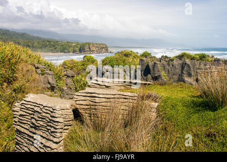 Bella erosione di migliaia di anni di acqua battendo sulle rocce di Punakaiki in Nuova Zelanda Foto Stock