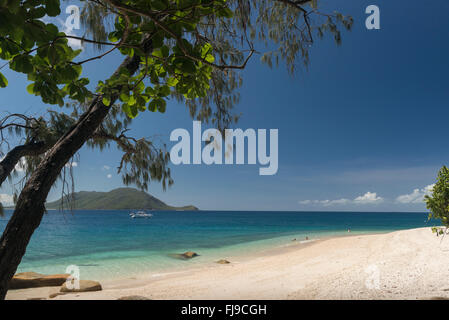 Bella bianca Nudey Beach con i turisti, snorkeling, vela passando, alcuni incredibili formazioni rocciose e le acque turchesi di Fitzroy Island e della terraferma di Cairns in background. Foto Stock