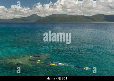 Snorkeling nuoto intorno alla bellissima spiaggia Nudey di Fitzroy isola lontano tropicale Nord Queensland, Foto Stock