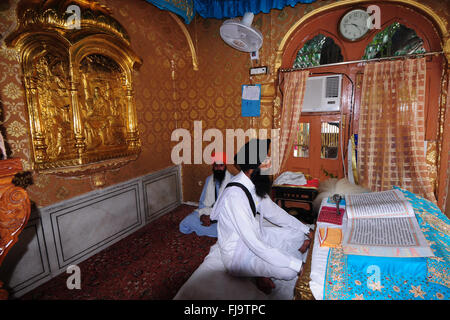 La religione sikh chierico la lettura di scritture, amritsar Punjab, India, Asia Foto Stock