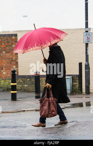 Donna con ombrello rosa sotto la pioggia attraversare una strada da in Bedford, Bedfordshire Foto Stock