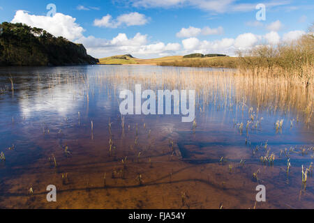 Basso angolo vista sulla rupe del Lough verso antivento dirupi in occidente. Cielo blu e nuvole bianche si riflette nel lago Foto Stock