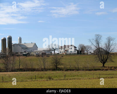 Raccolte cornfields e fabbricati in background. Foto Stock