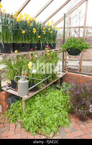 In inverno la casa verde a Rosemoor Foto Stock