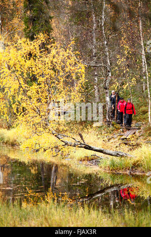 La Finlandia; Karhunkierros Trail - il grande orso trail escursione in Lapponia Foto Stock