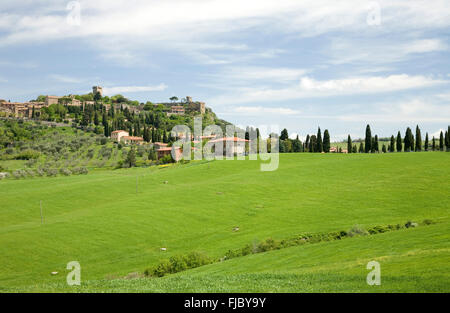 Vista di Monticchiello, Toscana, Italia Foto Stock