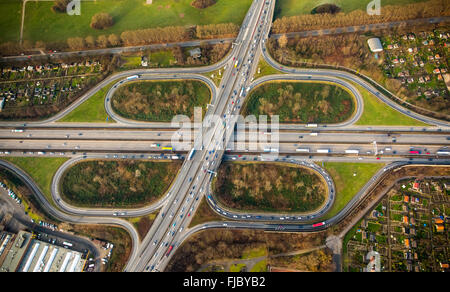 Raccordo autostradale A40 e A59, uscita autostradale, quadrifoglio con alberi, Duisburg, distretto della Ruhr, Renania settentrionale-Vestfalia Foto Stock