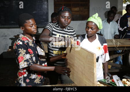 Gli apprendisti piallare il legno, carpenteria e falegnameria officina, Matamba-Solo, nella provincia di Bandundu, Repubblica Democratica del Congo Foto Stock