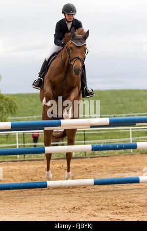 Blonde horsewoman in giacca nera su un cavallo marrone con fluente criniera è jumping Foto Stock