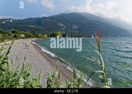 Strand, Torbole sul Garda, gardasee, Trentino, Italien | Spiaggia, Torbole sul lago di Garda, Trentino, Italia Foto Stock