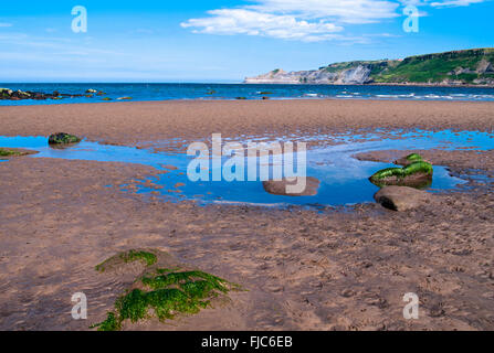 Rock pool e alghe marine rocce coperte su una tranquilla spiaggia di sabbia, Runswick Bay, North Yorkshire Heritage Coast, estate, England Regno Unito Foto Stock