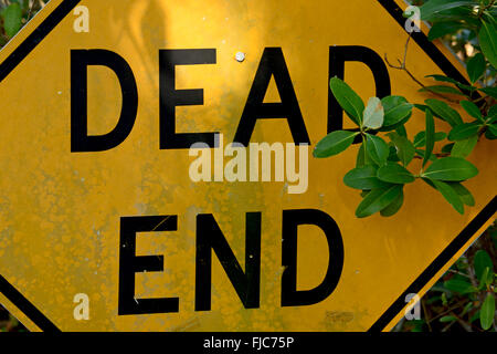 Dead End cartello giallo Close Up Foto Stock